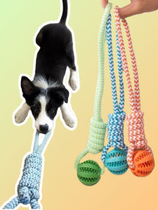Pet Cat Dog Teeth Grinding Toy Treat Dispensing Ball Rope Knot Tug of War Self Entertaining Interactive Durable Chew Resistant