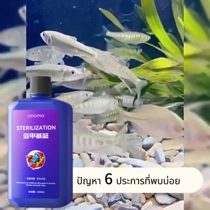 น้ํายาสีน้ําเงินเมทิลรีนน้ําปลาทองเข้มข้นและน้ํายาปรับปรุงคุณภาพน้ําสําหรับตู้ปลาและตู้ปลาต่อสู้