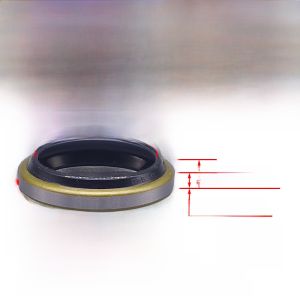DKB Type Iron Shell Dust Seal Ring for Cylinder Oil Seal Non-Retaining Rings Mechanical Seals Hardware Tools Chinese Made