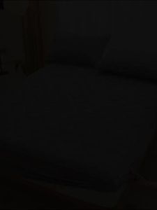 KAMONI | All Seasons Thicker Fleece Waterproof Dustproof Anti-slip Bed Cover