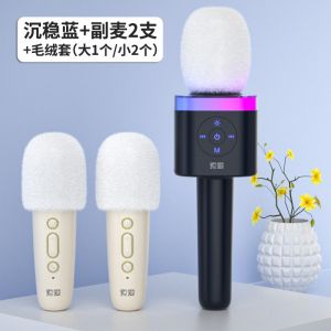 Handheld One-piece Karaoke Sound System SOAIY Small Bee Amplifier Microphone Audio Integrated Portable Loudspeaker