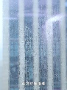 FaSoLa | Reusable Moisture Absorber for Home