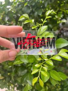 Tem in nhiệt VFT SIÊU MỎNG _SIÊU DÍNH -SIÊU BỀN -KHÁNG NƯỚC