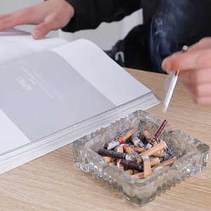 HEVEA30pcs Disposable Ashtray Cleaner Remover Sand Smoke Smell Odor Air Freshener Powder Convenient Car Indoor 一次性烟灰缸沙车载
