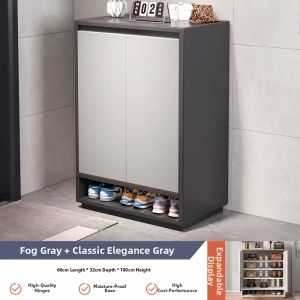 ZHUOLESHI | Large Capacity Shoe Cabinet