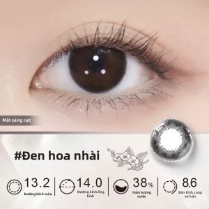 Pegavision | Mắt Kính áp Tròng Kính Cận Có Mùi 1 Tháng Thay Thế