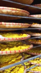 Viên Đẳng sâm Tinh bột nghệ Mật ong/khắc tinh đau bao tử/trào ngược/ợ hơi ợ chua/ rối loạn tiêu hóa