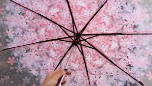 Korean style transparent cherry blossom umbrella Automatic/manual folding three fold umbrella Romantic womens umbrella