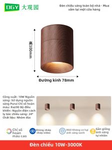 DGY | Đèn Chiếu Sáng Bảo Vệ Mắt Không Chói Điều Chỉnh Góc