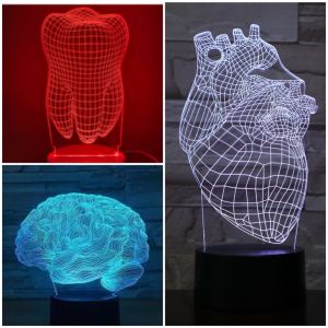 Body Parts LED Acrylic Lamp Tooth Heart Brain for Medical or Dentists / Doctors / Medical Students