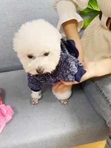 Áo thu đông cho Chó Mèo (mẫu mới) - Love Pets Shop