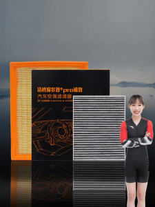 HUARUIYUAN | Air Filter for Changan A600 A800 COS1 CX70 X5PLUS X7EV