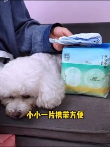 COCOYO Female Pet Diaper Disposable for Small Dogs & Cats (Strong Absorb Soft And Breathable) (10pcs/bag)