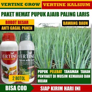 PAKET 2 BOTOL VERTINE GROW & KALSIUM OBAT PELEBAT BAWANG DAUN Paling Ampuh BAWANG MERAH Tanpa Hama Dan Penyakit Kuat Di Musim Hujan Pupuk Lengkap Anti Hama Bawang Tumbuh Subur Tanpa Layu Dan Rontok Obat Semprot Bawang Terbaik Anti Patek Layu DLL