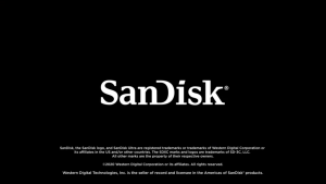 CCTV Surveillance SanDisk Extreme PRO Ultra Original SD TF Micro Card 8GB 16GB 32GB 64GB 128GB 256GB 512GB 1TB Local COD Shipment U1 A1 V30 XC Class10 Phone Tablet Computer 4K Video Monitoring