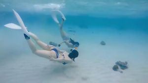 ZACRO Masker Kacamata Selam Profesional Scuba Diving Tempered Glass - Black