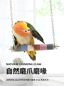 Parrot Toy Swing Bird Supplies Claw Grinding Mouth Beak Kake Peacock Special Bird Cage Accessories Station Dry Decoration