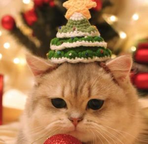 「 HiPiDog 」ชุดหมวกผ้าพันคอผ้าคลุมสัตว์เลี้ยงคริสต์มาสผ้าประดับเทศกาลสำหรับแมวเสื้อคลุมคริสต์มาสลูกสุนัข