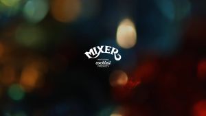 Mixer Forest Fruits Puree 1L