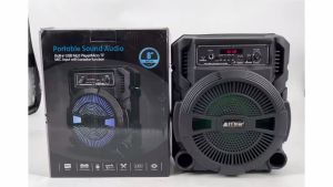 FTStar TP-8 Portable Sound Karaoke Audio Built-in USB With Microphone