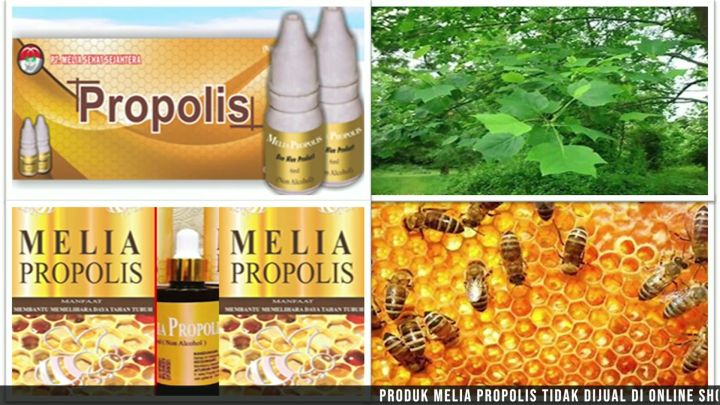 Propolis Melia  Anti Flu | Batuk | Sakit Kepala Dan Vertigo Asli Kemasan 55ML