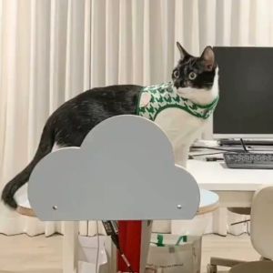 POOCH & PURRR Cloud Capsule ชั้นแมว ที่นอน เป็นแมว ลายก้อน เป็นช่องที่ไม่ต้องเจาะกำแพง อุปกรณ์เสริมสร้างผิวหน้าพิเศษ