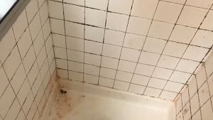 6 PCS Kepala Sikat Bor Elektrik Pembersih Listrik Serbaguna Multifungsi