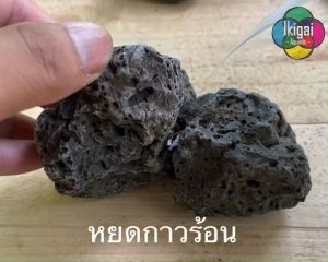 Set S หินตกแต่งตู้ปลา หินจัดตู้ไม้น้ำ หินจัดสวนถาด หินจริง พร้อมกาวและผงผสาน