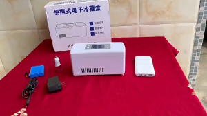 Portable Insulin Medicine Refrigerator Mini Portable Rechargeable Cooler for Home and Car Use USB-Powered