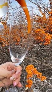 100%鲜榨沙棘原浆 1盒10条 0添加 100% Freshly Squeezed Sea Buckthorn Puree – 1 Box (10 Sachets) – No Additives