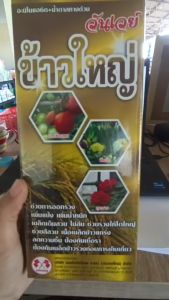 ข้าวใหญ่ น้ำตาลทางด่วน ร่วมกัน ขวดเดียวครบ สารบำรุงข้าวครบวงจร  ช่วยส่งเสริมการเจริญเติบโตทางใบ ลำต้น แตกกอดี รากขาว แตกรากยาว ช่วยออกรวง เพิ่มแป้ง เมล็ดเต็มสวย รวงใหญ่ สีสวย เนื้อเมล็ดข้าวแกร่ง ช่วยลดความชื้น  ป้องกันเมล็ดร่วง 1 ขวดผสมน้ำ 800 ลิตร