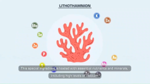 Aptus Micromix Soil 100g (Soil Conditioner Mix of microorganisms and stimulants Lithothamnion)