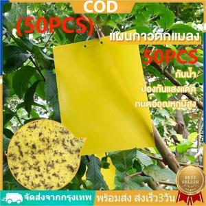 แผ่นกาวดักแมลง 15x20 กาวเหนียว กับ ดักแมลงวันทอง หวี่ขาว สีเหลือง/สีฟ้า กาวเหนียน ทนแดด ทนฝน กาวยั่งและใช้ได้มากขึ้น 90 วัน