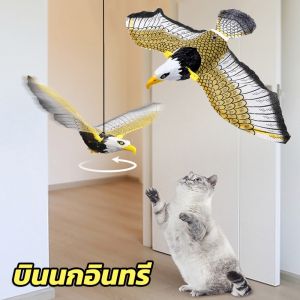 【Leaf-Hu】 ของเล่นแมว เหยี่ยวไล่นก แมวไล่นก มีเสียง มีไฟที่ตา ปีกสามารถขยับได้