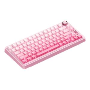 Aula | Wireless 3-Mode Customizable Gasket Mechanical Keyboard