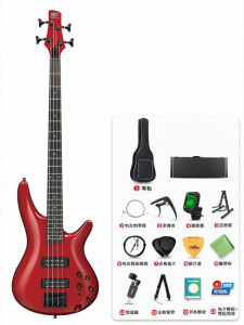 Ibanez | Electric Bass 4/5 Strings