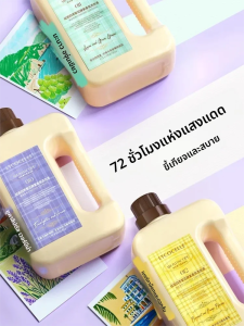 LYCOCELLE | Fruit Fragrance Antibacterial and Anti-Mite Detergent