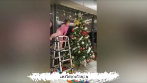 [จัดส่งจากกรุงเทพ]แถมของตกแต่ง (รวมของตกแต่ง400ชิ้น)ต้นคริสต์มาส ขนาดใหญ่ 180 cm Christmas tree decoration ต้นไม้ปลอม ตกแต่งคริสต์มาส ต้นไม้ประดับตกแต่ง ตกแต่งคริสต์มาส วันคริสต์มาส แขวนผนังต้นคริสต์มาส และไฟ สายไฟ ledสําหรั