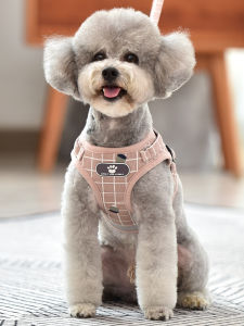FENGCAO | Vest Style Chest Harness Leash for Small Dogs