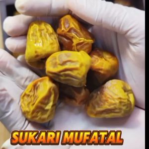Wholesale Sukari Mufatal Date / Kurma Sukari Mufatal / Harga Borong / 3Kg / High Quality /Snacks /Food / Snack Dried Fruits / Dried Date Fruit / Buah Kurma Sukari Kering / Murah /Termurah