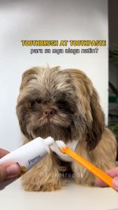 Pet Toothpaste Dog Cat Cats Teeth Oral Care 100g