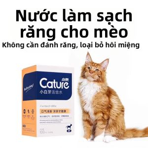 Cature | Dung Dịch Súc Miệng Ăn Được Cho Mèo