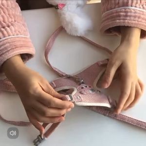 Teddy Design Pet Harness with Leash Adjustable Cat Dog Vest-Style Traction Rope Kitten Puppy S/M sizes