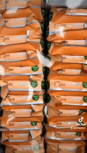 Makanan kucing catsrang all stage 5kg freshpack makanan kucing termurah