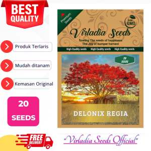 [Virladia Seeds] Biji Benih tanaman Pohon Flamboyan Merah