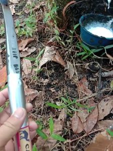 PISAU SADAP KARET / PISAU DERES KARET STANG BOR