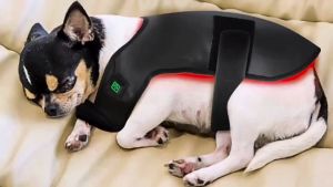 Sinohero LED Red Infrared Light Dog Clothes Animal Pain Relief Therapy Wrap Belt Dog Coat for Pet Back 660nm 850nm