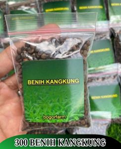 BENIH KANGKUNG SUPER 300BENIH | SAYUR KANGKUNG | 100% KANGKUNG SUPER