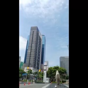 Tote Bag leather DK-Schweizer