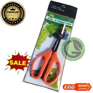 gunting pruning bonsai NONG FU Taiwan bonsai fruit and vegetable scissors